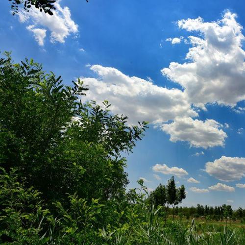 15.生活就像舞蹈，你的初步舞蹈的教会不一定要和你一起玩。