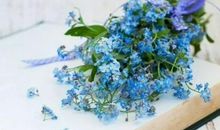 最唯美的朋友圈句子