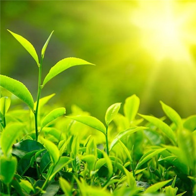 2021时尚微信短句