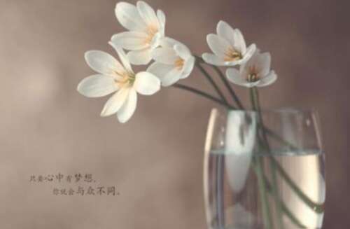 30，只做第一个，不要让下一个。