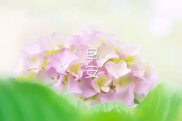 特别温暖的早餐