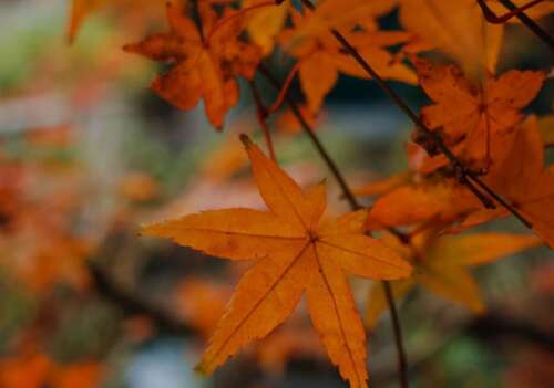 30，不要打扮B，加载B被鸣叫〜