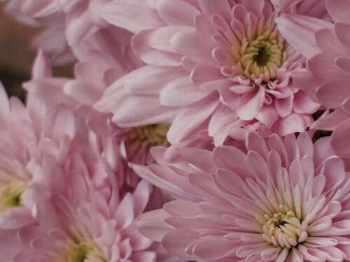 情人节，天然气，谈到1