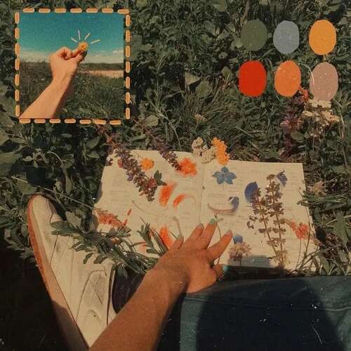 春天出去旅行谈论1