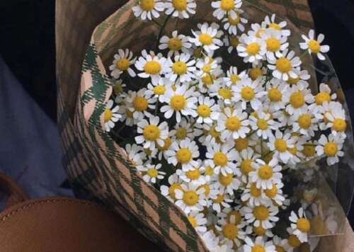 66，更自由和容易，较少投诉，让自己处于开放的心灵，感受生活，解释生活。生命是短暂的，不要困难。让我们玩得开心穿过春天和夏天的秋冬。