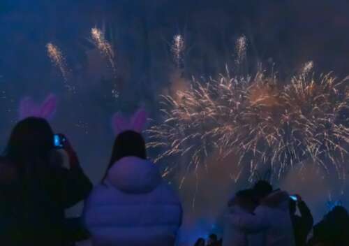 欢迎来到2021年新年的句子1