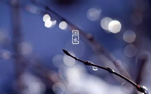 雨中经典的问候