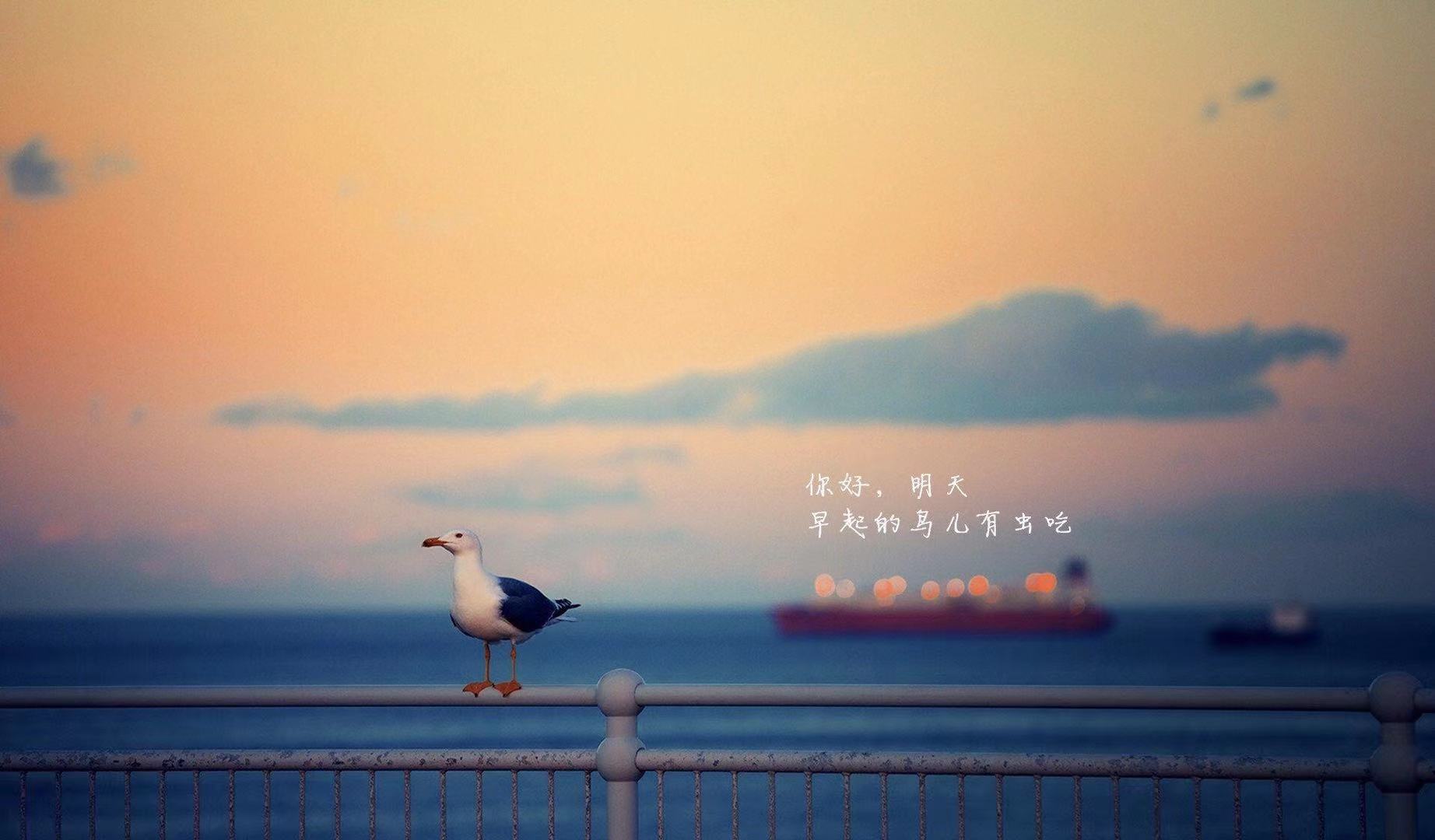 15，恢复，长期运作