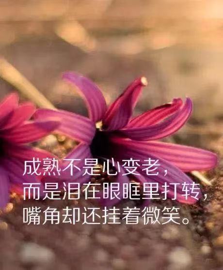 企业家团队口号霸气押韵