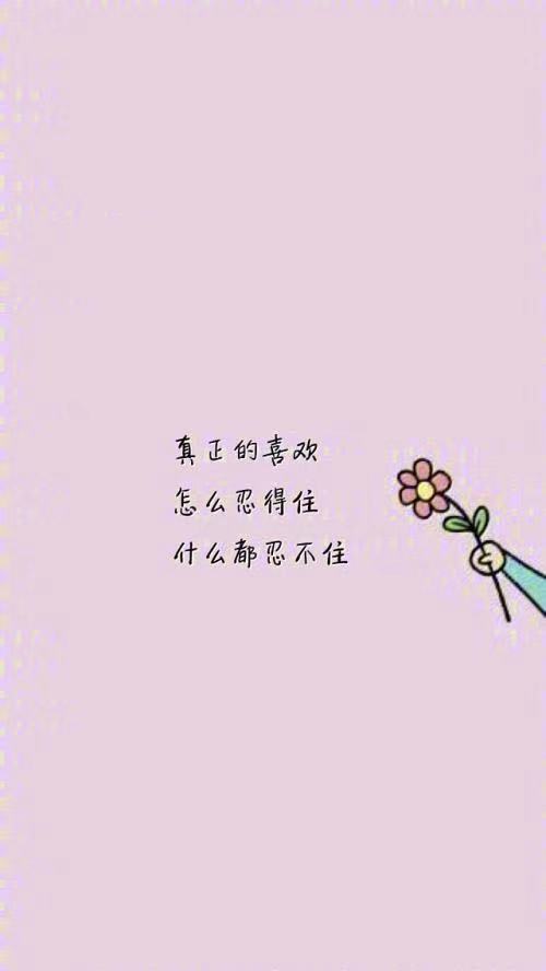 15.展览年轻风格，创造阳光职业生涯。