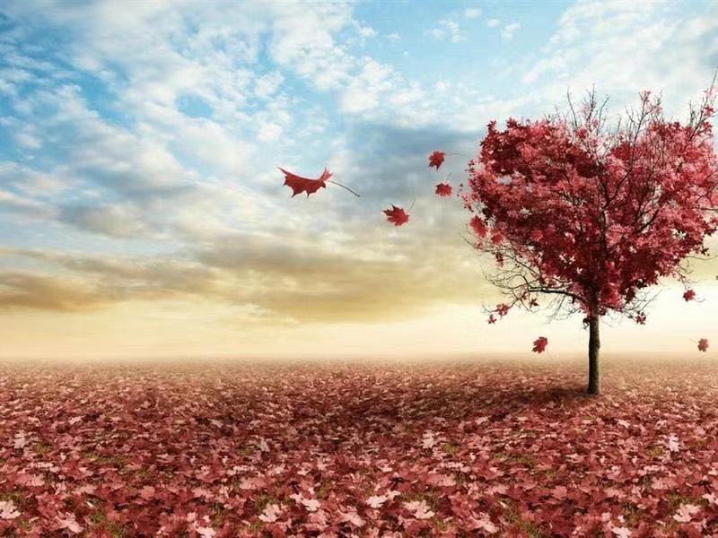 大学企业家团队口号1