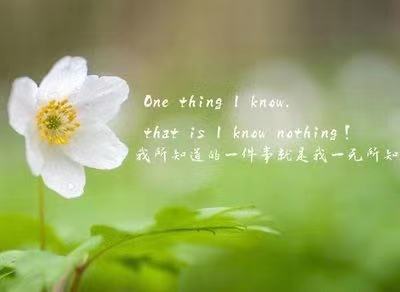 15.鹰的空间很长，我也将与之竞争。