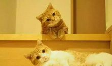 每天一句心灵鸡汤经典语录