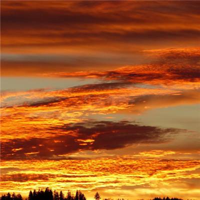 15，因为自信，成功。