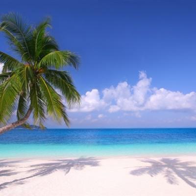 研讨会团队口号8押韵