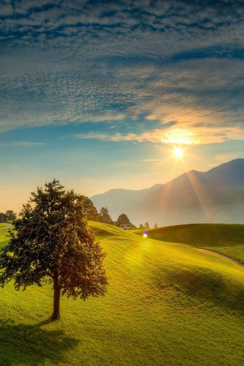 15.失败的铺路取得了成功！