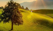 单位团队口号大全经典