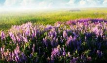 创业团队名称和口号