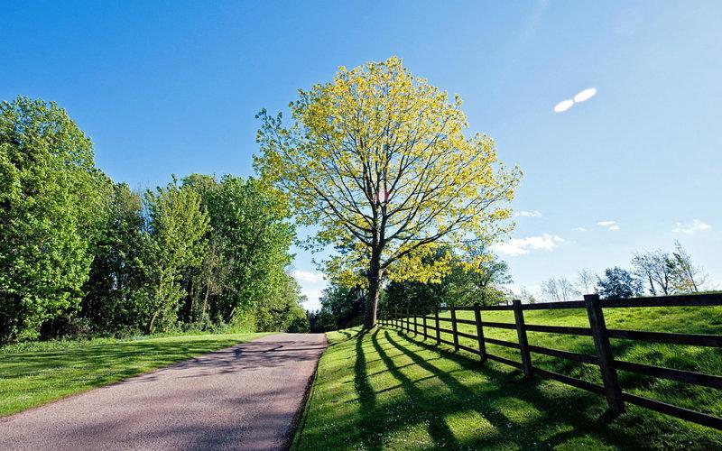 企业家团队名称和口号