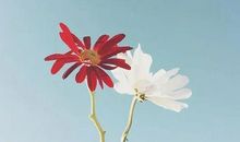 很暖心的朋友圈句子