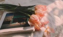 适合发朋友圈的高情商句子配图