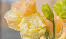 2021全网最火的句子