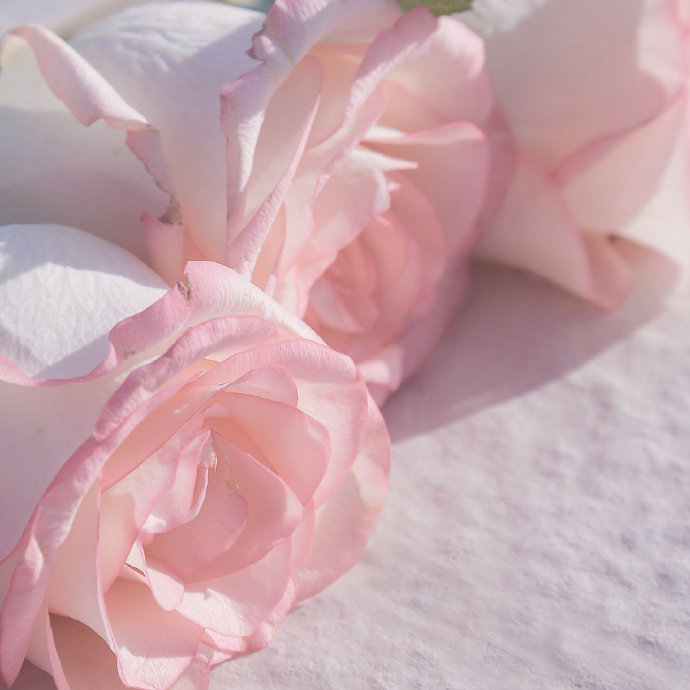 3，秋季警戒时钟戒指，嘴，嘴，寒冷，天空，我记得加衣服，呼吸新鲜空气，注意强大的身体;不要忙，情绪必须舒适，我希望你爱和美容，家庭生涯安康。