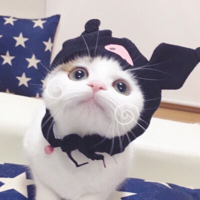 距离不是一个问题，友谊