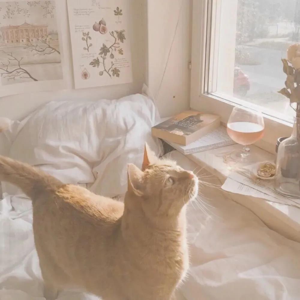 29，不要对待每次热情，请不要任何漠不关心。