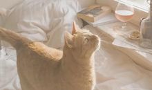 走心干净的短句