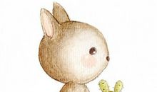 红颜蓝颜友情的句子