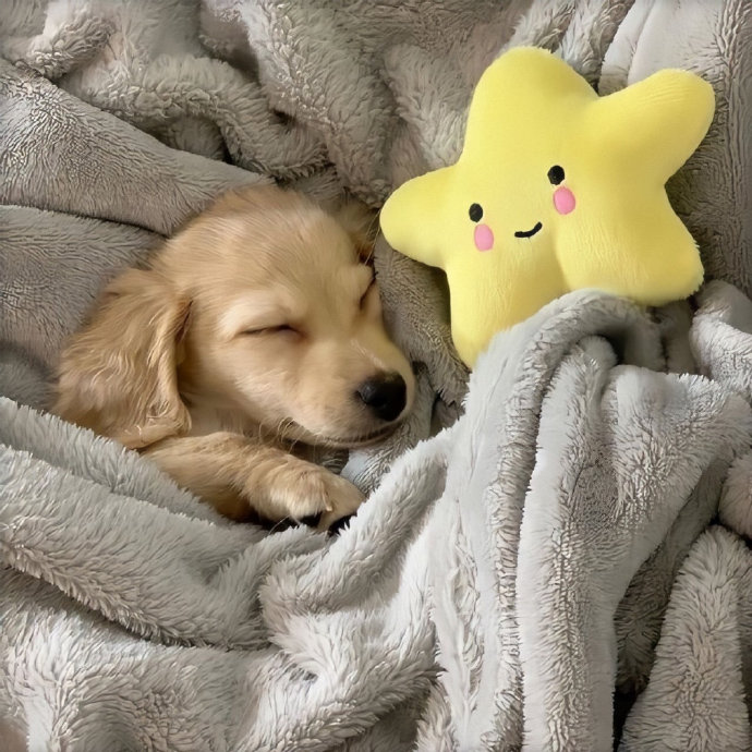 父亲节问候客户短信