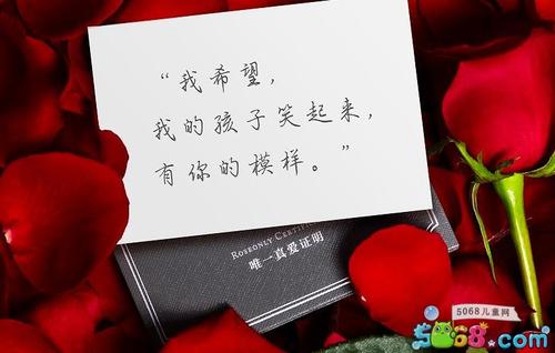 新年的祝福写信给情人