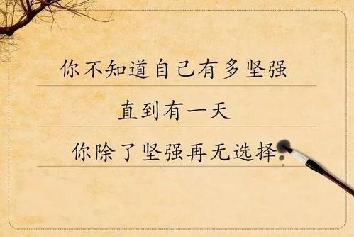 朋友圈的经典说大全