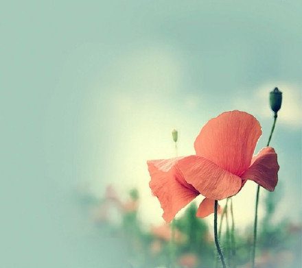 台风大雨短信问候