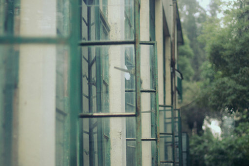 台风风暴短信问候1