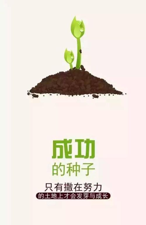 每天谈论积极的能量圈