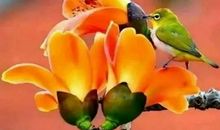 形容心累心里苦的诗句