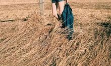 发朋友圈的心情说说短语