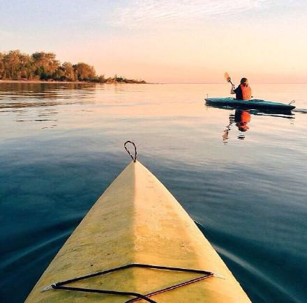 15.莲花是开放的，小心，枝，灵灵。祝新人百年。