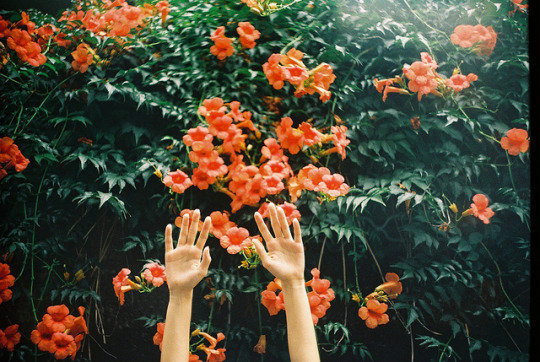 简单的气候问候短信1