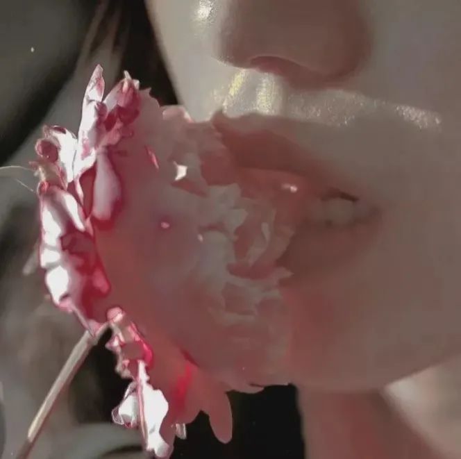 美宇季节早上好消息短信1