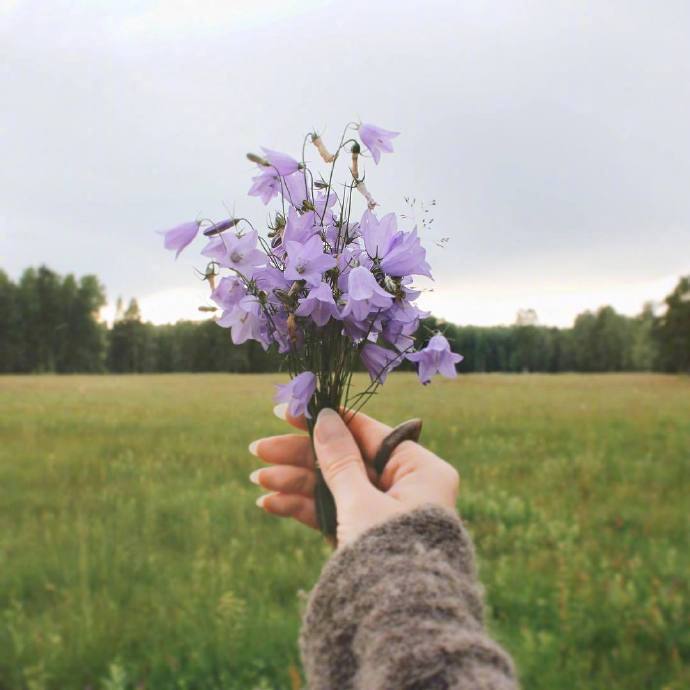 寒冷，常见的问候，客户短信