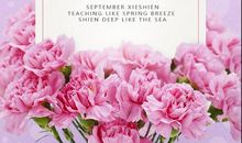 教师节家长祝福老师的话