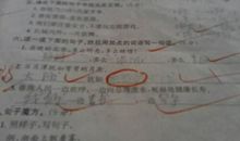 春天到了向向向造句子大全