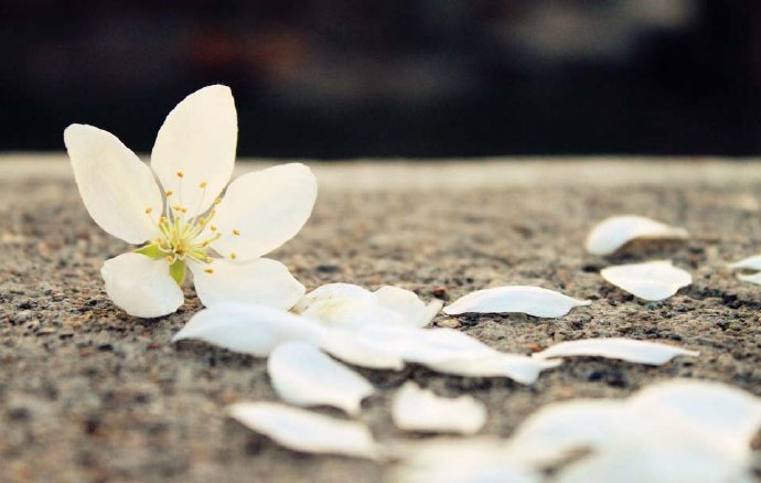 15，沉重的雪健康，分享给你？打开窗户每天三次，调整内外温差，加热和湿毛巾，保持空气湿润，妥善增加运动，坚持肥胖，晚餐牛肉汤，冷却升高。温馨，我希望你快乐，好吧！