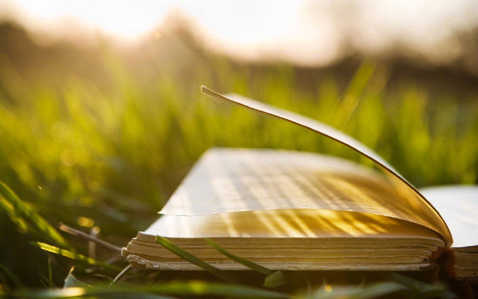 春节前的问候2021 1