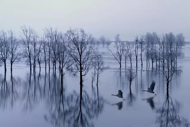 领先的短信问候生日会议