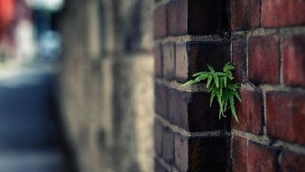 15，今天的生日祝福你：天天的娃哈哈，老年人，微笑，美丽，青年吹嘘。生日快乐！