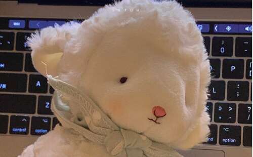 21，我的女朋友思考如何做到这一点，让她坐在角落里，因为那里有90度。